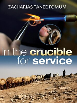 cover image of In the Crucible For Service